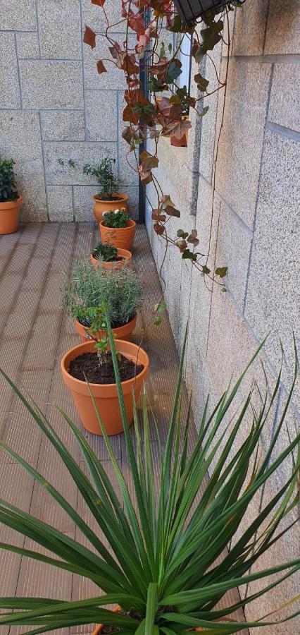 O Terraco Florido Daire Viseu Dış mekan fotoğraf